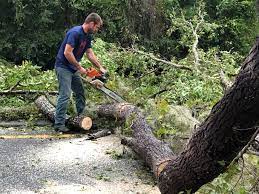 Seasonal Cleanup (Spring/Fall) in Dayton, VA